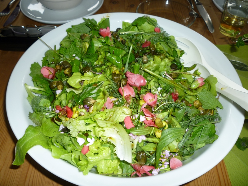 Wildkräuter-Salat 2
